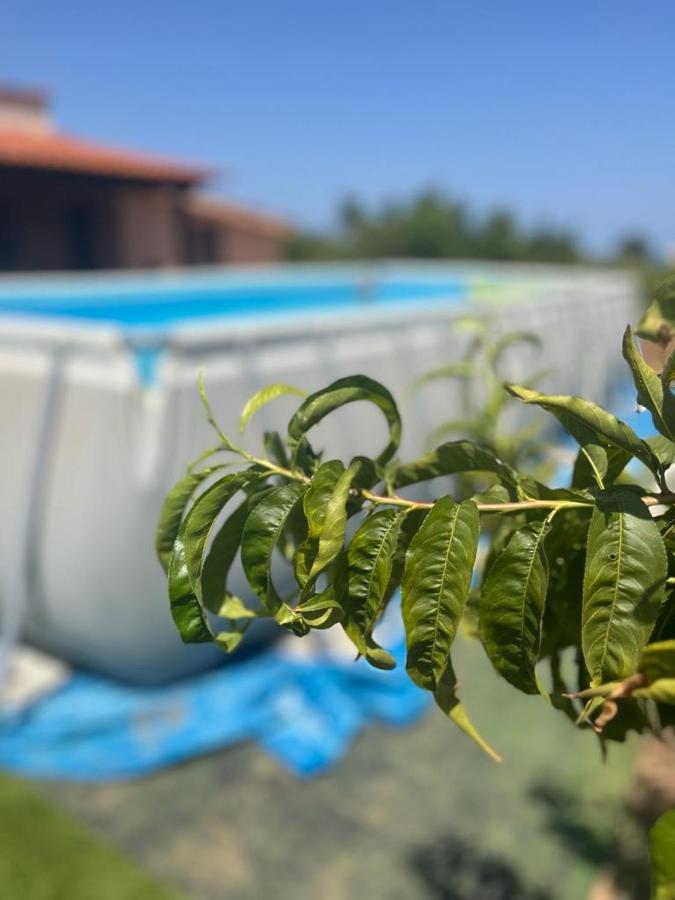 Lovely Country House Trappeto  Εξωτερικό φωτογραφία